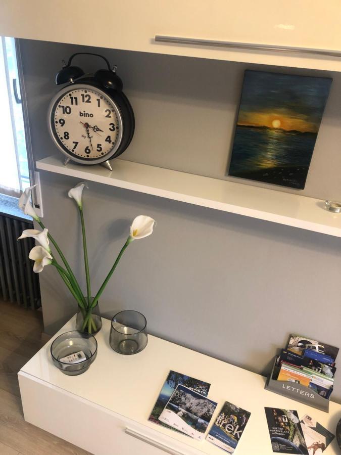 "La Bella Della Cappuccina" Casa Con Parcheggio Interno Gratuito Apartment Domodossola Luaran gambar